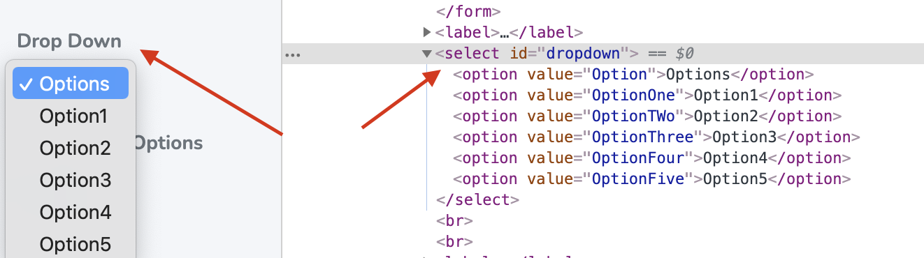 DropDown